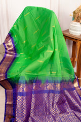 Radiant Green Chanderi Silk Cotton Saree with Royal Blue Zari Border