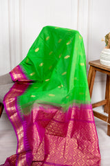 Vibrant Parrot Green & Magenta Chanderi Silk Cotton Saree with Rich Zari Border