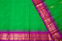 Vibrant Parrot Green & Magenta Chanderi Silk Cotton Saree with Rich Zari Border