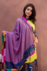 Lime & Indigo Kalamkari-Border Cotton Suit Set