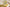 Elegant Chanderi Salwar Suit Yellow Set – Top, Bottom &  Dupatta
