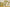Elegant Chanderi Salwar Suit Yellow Set – Top, Bottom &  Dupatta
