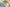 Elegant Chanderi Salwar Blue Suit – Top, Bottom & Dupatta