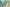 Elegant Chanderi Salwar Blue Suit – Top, Bottom & Dupatta