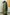 Handwoven Chanderi Cotton Salwar Top & Dupatta Set – light green  & black