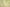 Light Green Chanderi Cotton Unstitched Suit Set