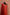 Graceful Red Chanderi Cotton  Suit With Dupatta