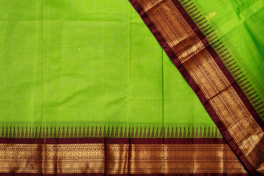 Fresh Lime Green Chanderi Silk Cotton Saree with Rich Coffee Brown Zari Border