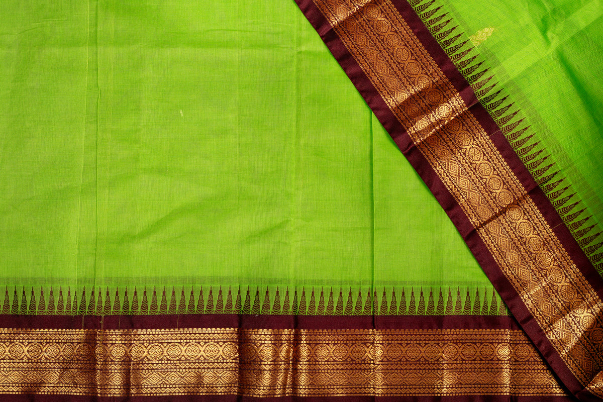 Fresh Lime Green Chanderi Silk Cotton Saree with Rich Coffee Brown Zari Border