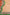 Vibrant Orange And Green Maheswari Silk Sareee