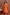 Orange Floral co-ord set