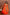Orange Floral Georgette Anarkali with Dupatta