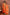 Orange Floral Georgette Anarkali with Dupatta