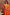 Orange Floral Georgette Anarkali with Dupatta