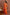Orange Floral Dothi Dress