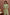 Light Green With Printed Cotton Kurta Set