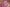 Elegant Chanderi Salwar Pink Suit– Top, Bottom  &Dupatta