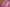 Elegant Chanderi Salwar Pink Suit– Top, Bottom  &Dupatta