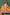 Multicolour Cotton Silk Jacquard Anarkali with Georgette Dupatta