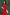 Red Cotton Cowl Dress With Contrast Mirror Detailed Sleeves