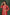 Red Semi Brocade Kurta