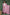 Pink Block Printed Cotton Kurtha Set with Cotton Block Print Dupatta